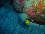 Pousada em Fernando de Noronha